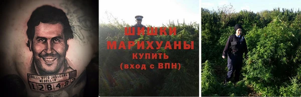 дживик Абаза