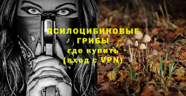 дживик Абаза