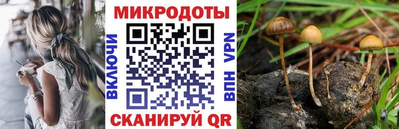 мориарти как зайти  Фурманов  Галлюциногенные грибы MAGIC MUSHROOMS  kraken маркетплейс 