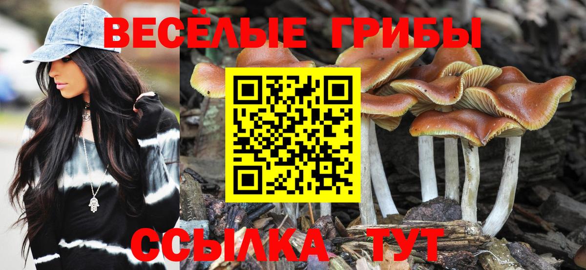 Псилоцибиновые грибы мухоморы  Вход с VPN  Фурманов 